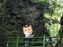 -藏龙百瀑风景区