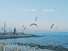 -星海广场