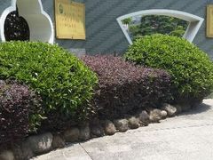 android_upload_pic-乌山风景区