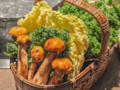 -蘑界·野生菌火锅(深业上城店)