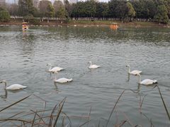 -艾溪湖湿地公园