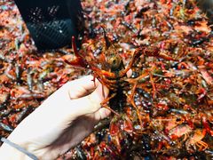 -盒马鲜生(皇庭广场店)