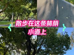 -四海公园(南山区)