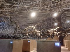 -世界恐龙谷景区