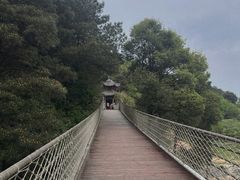 -铁山坪森林公园