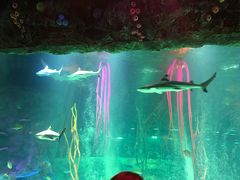 -沈阳海洋探索中心