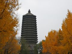 -玲珑塔公园