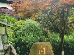 -十八棵（老龙井）御茶园(老龙井店)