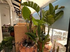 -素心小筑(后沙裕镇店)