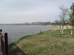 -武清南湖绿博园