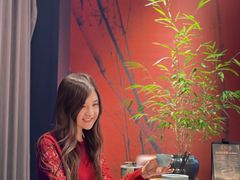 -蘇锦宴·淮扬菜烤鸭·小院(三元桥霄云路店)
