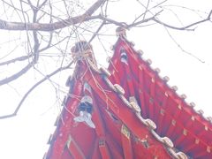 -哈尔滨极乐寺