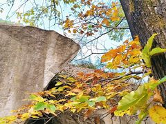 -秦岭终南山世界地质公园翠华山景区