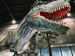 -湖南省地质博物馆