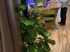-万达瑞华酒店美食汇自助餐厅(楚河汉街店)