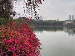 -东山湖公园