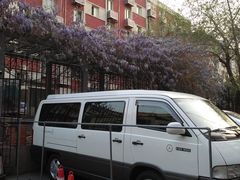 -皂君东里