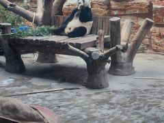 -石家庄市动物园