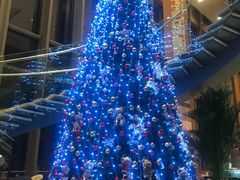 -视界美食自助餐厅·石家庄希尔顿酒店