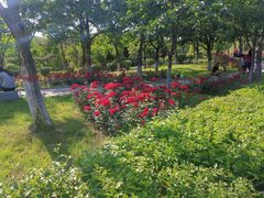 -西安汉城湖景区