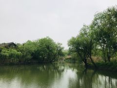 -长兴太湖图影湿地文化园