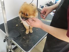 -北京恒爱动物医院(清景园分院)