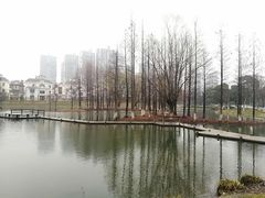 -白塘生态植物园