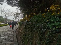 -普陀山慧济禅寺