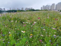 -白塘生态植物园