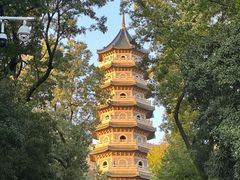 -灵谷景区