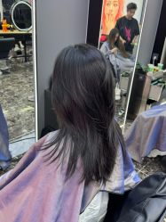 点击看大图 -藤野造型