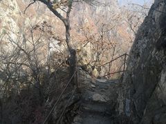 -大连天门山国家森林公园