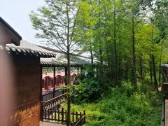 -溱湖国家湿地公园