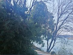 -东湖落雁景区