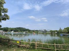 -大塘金香草谷