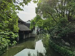 -鲁镇