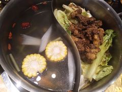 牛腩鸳鸯锅-手选潮汕鲜活牛肉火锅(二七广场店)