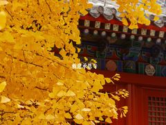 -承恩寺