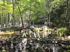 -牛背梁国家森林公园