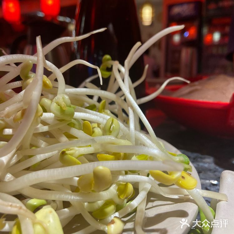 人均不到50的重庆火锅，川渝人都说正宗[调皮]