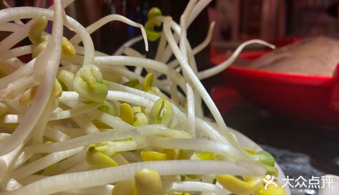 人均不到50的重庆火锅，川渝人都说正宗[调皮]