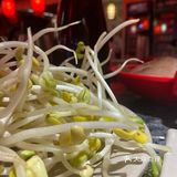 人均不到50的重庆火锅，川渝人都说正宗[调皮]