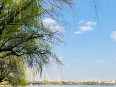 -高子水居