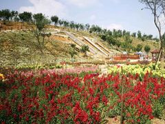 -绵阳盛世樱花悠乐谷