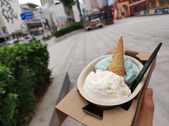 -极拉图·现制冰淇淋(大卫城店)
