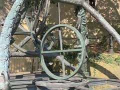 -上海佘山国家森林公园西佘山园