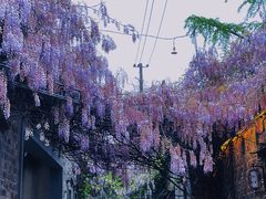 -老门东历史文化街区