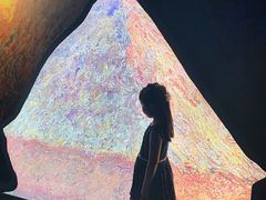 -印象莫奈时光映迹艺术展