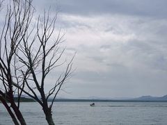 -观澜小洱海