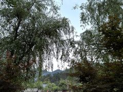 -黄陂区野村谷景区